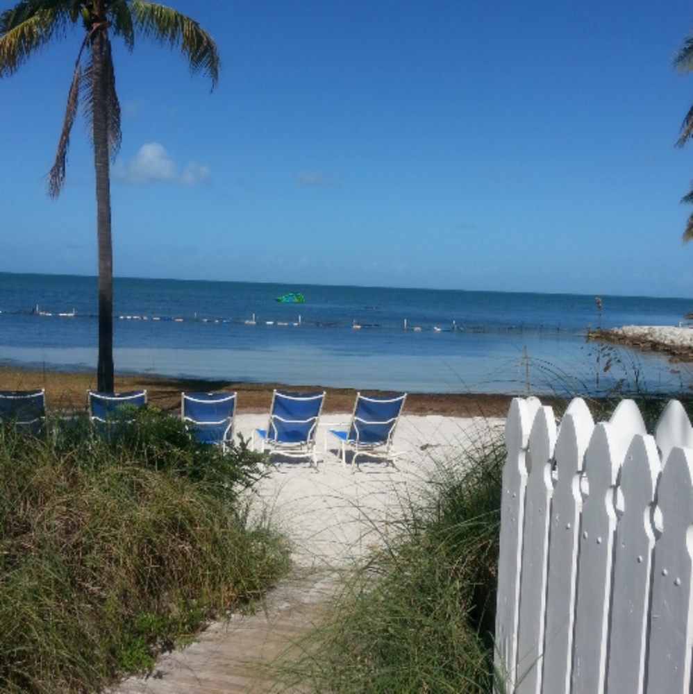 Meet your Posher, Debra